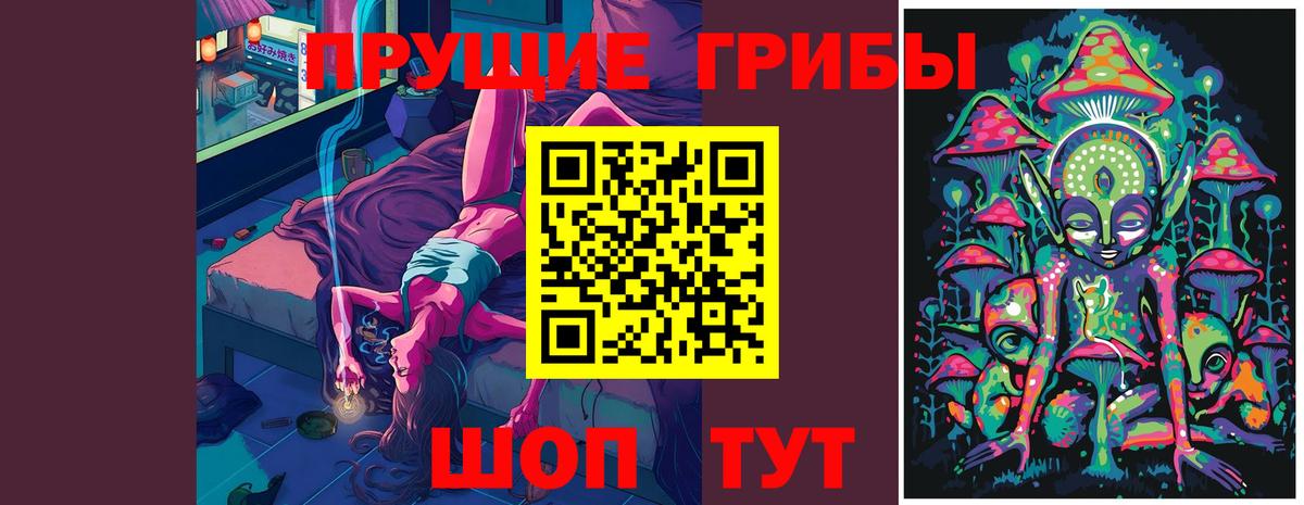 Галлюциногенные грибы Cubensis  Псилоцибиновые грибы GOLDEN TEACHER  Владикавказ  Вход с VPN 