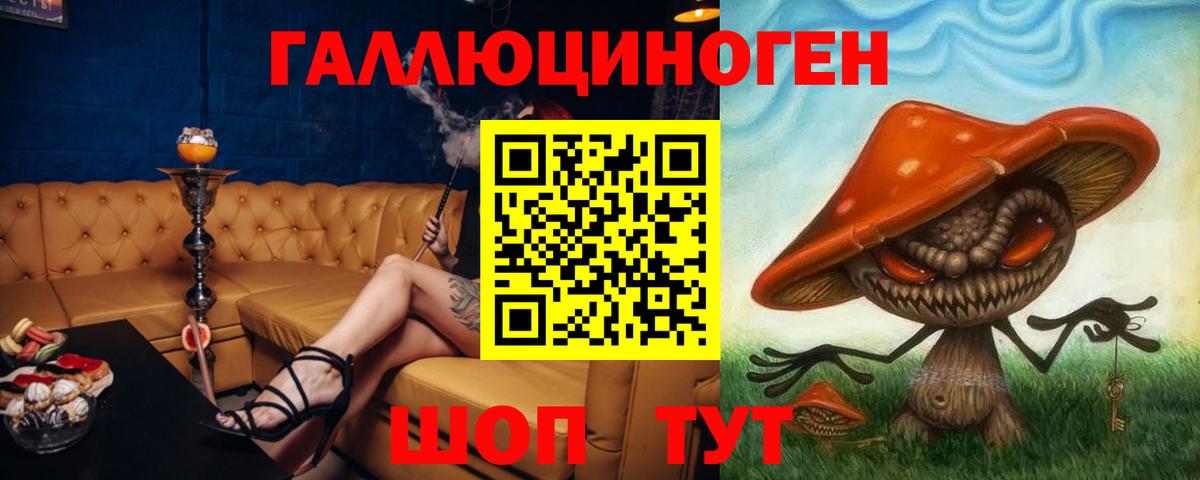 Псилоцибиновые грибы GOLDEN TEACHER Владикавказ